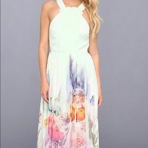 NWOT Ted Baker Green Floral Maxi Dress